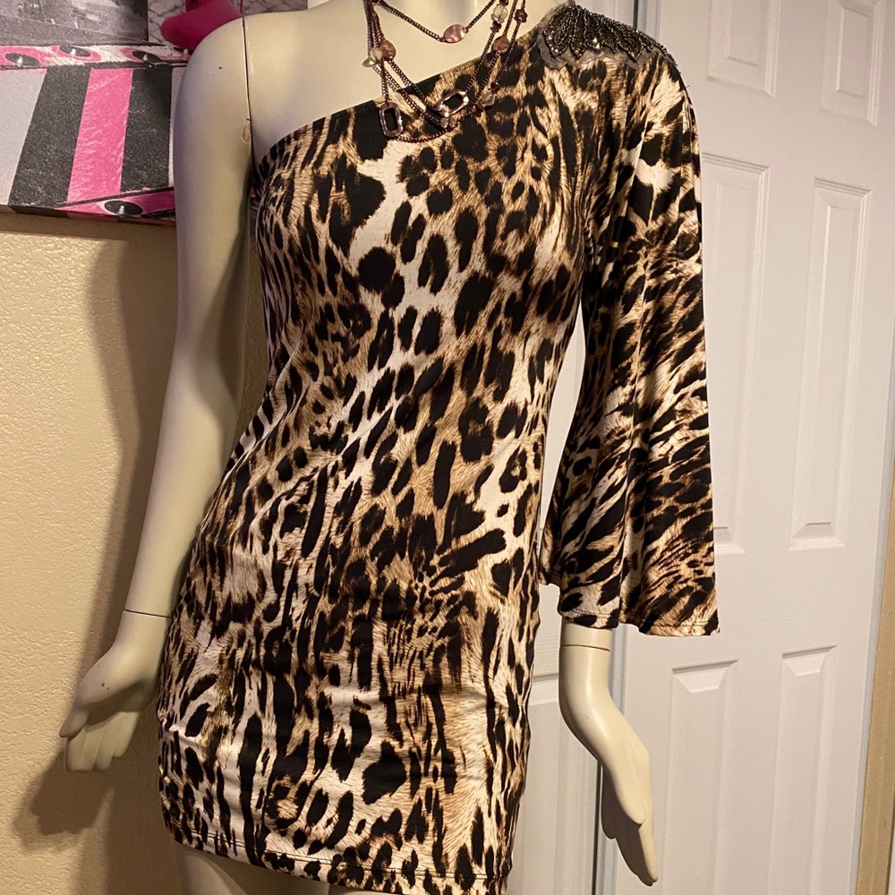 Cheetah mini